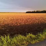 فندق مبيت وإفطار B&B Koningsbosch 3*