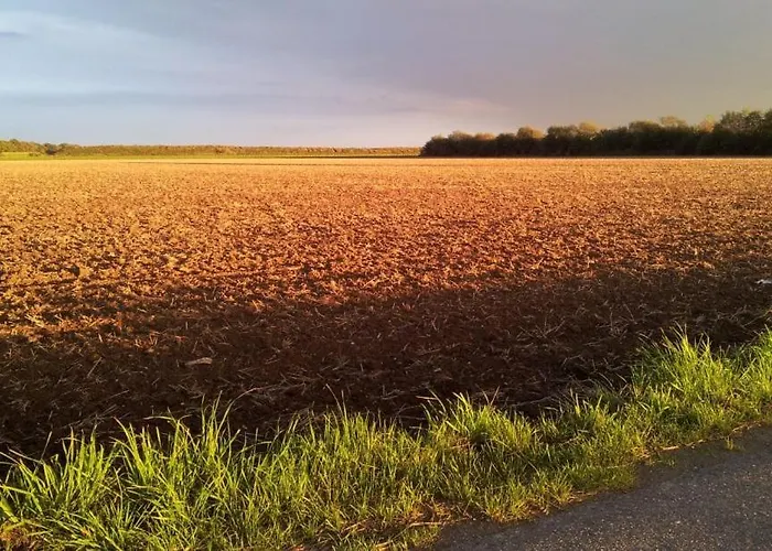 לינה וארוחת בוקר B&B Koningsbosch 3*