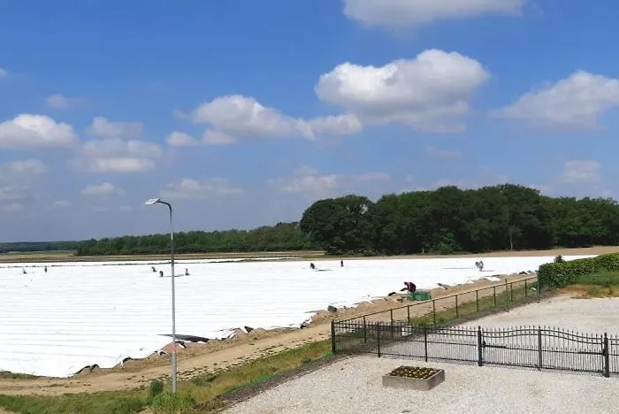 Bed & Breakfast B&B Koningsbosch