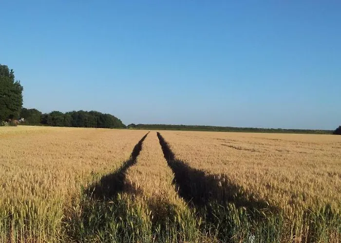 B&B Koningsbosch Koningsbosch