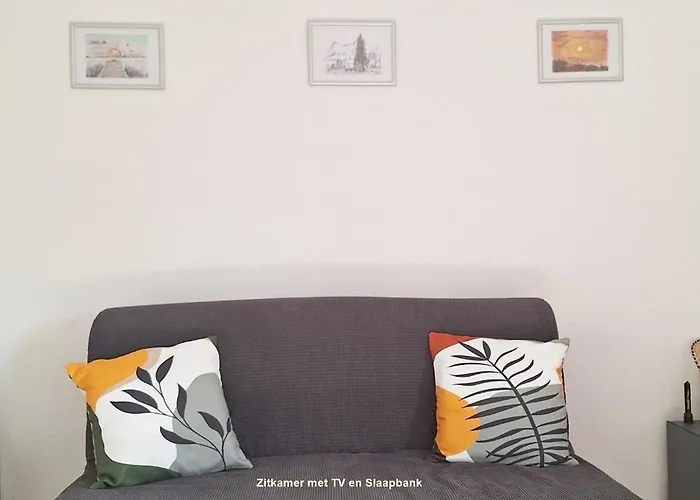 Bed & Breakfast B&B Koningsbosch