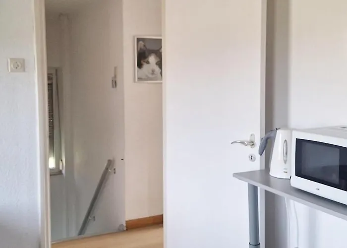 B&B Koningsbosch לינה וארוחת בוקר Koningsbosch